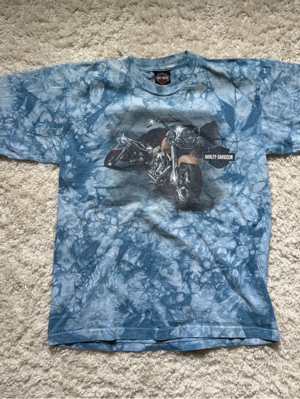 Vintage Tie-Dye Harley Davidson T-Shirt
